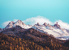 乐鱼体育官方网站：开启你的全场景体育新纪元